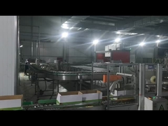 Mesin penyegelan karton, Mesin palletisasi robot