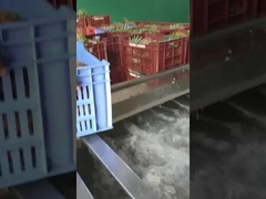 Mesin cuci buah/sayuran jenis gelembung, kapasitas produksi dapat disesuaikan