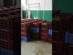 Juicing Buah Sayuran Produksi lini