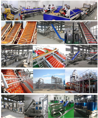 Pineapple Canning Production Line High Efficiency Fast Speed